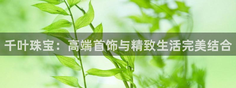 云南众腾娱乐