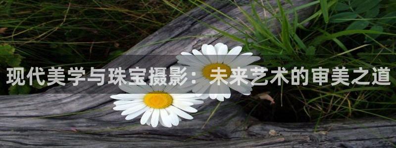 众腾娱乐邵阳