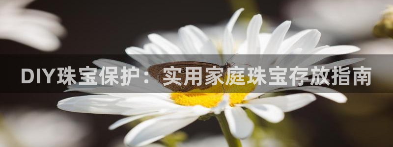 众腾娱乐毕 7O935
