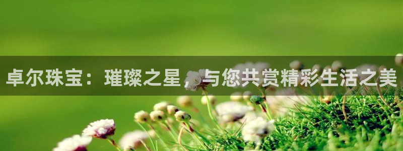 腾众娱乐是什么