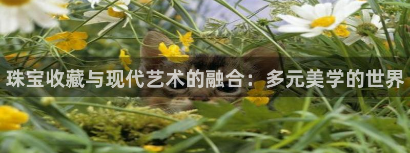 众腾娱乐毕 7O935