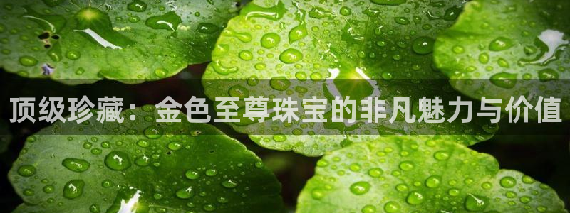 众腾娱乐邵阳