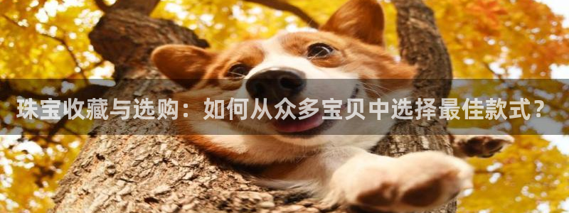 腾众娱乐彩票