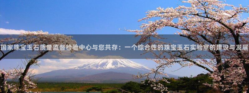 众腾娱乐代理怎么样：国家珠宝玉石质量监督检验中心与您共存：一