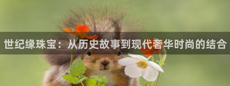 楚雄众腾娱乐