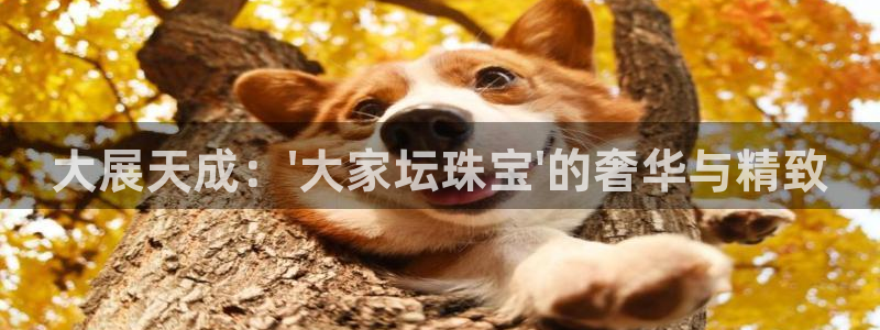 众腾娱乐app