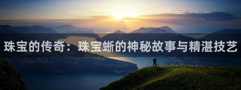 众腾娱乐平台