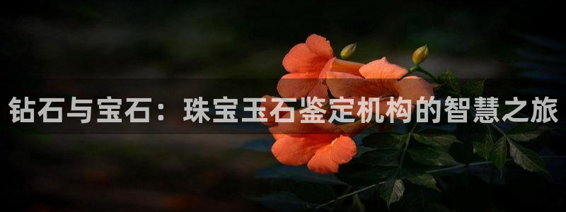 众腾娱乐平台下载