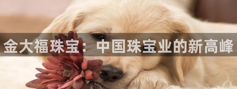 众腾娱乐集团有限公司：金大福珠宝：中国珠宝业的新高峰