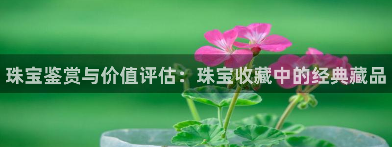 众腾娱乐邵阳
