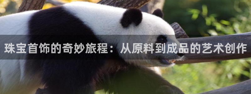 众腾娱乐毕 7O935：珠宝首饰的奇妙旅程：从原料到成品的艺