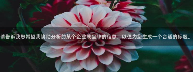 众腾娱乐平台群7O777：请告诉我您希望我协助分析的某个企业