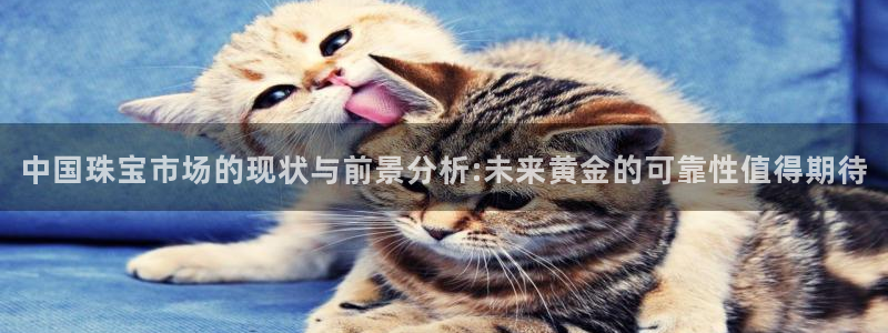 包头众腾娱乐