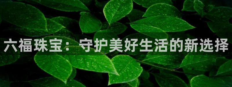 众腾娱乐平台：六福珠宝：守护美好生活的新选择