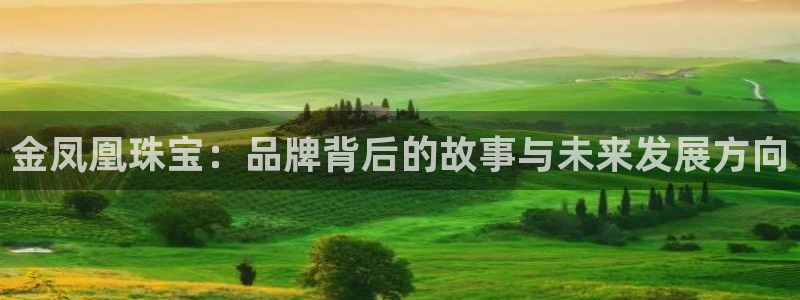 众腾娱乐集团有限公司：金凤凰珠宝：品牌背后的故事与未来发展方