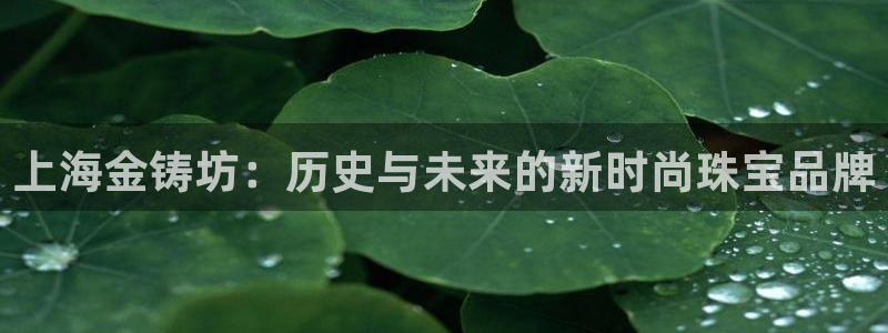 腾众娱乐是什么