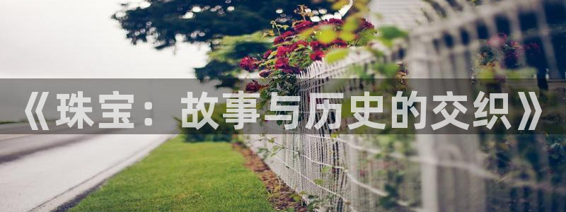 楚雄众腾娱乐：《珠宝：故事与历史的交织》