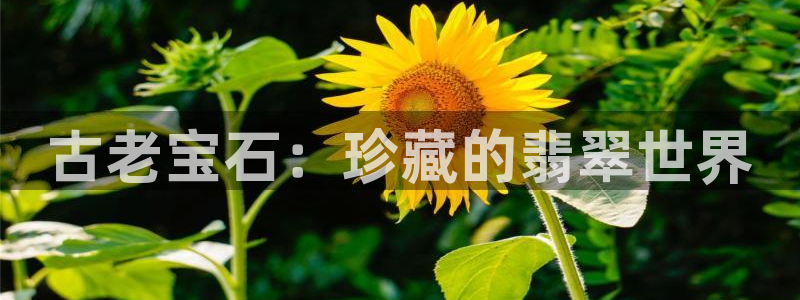 众腾娱乐注册：古老宝石：珍藏的翡翠世界