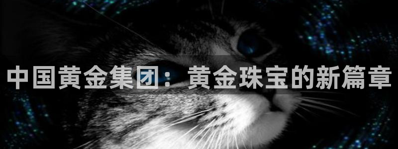 腾众娱乐彩票