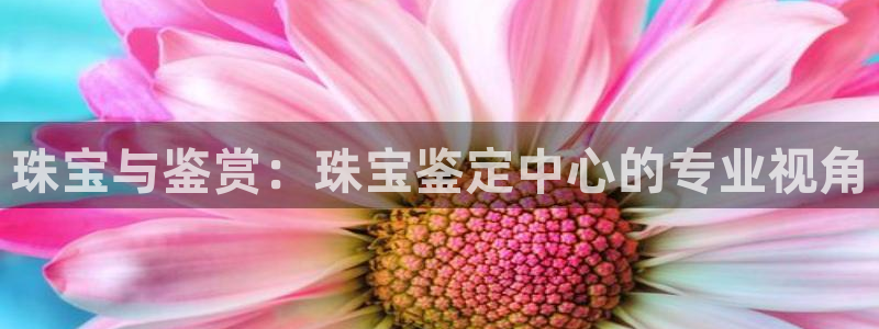 楚雄众腾娱乐在哪里：珠宝与鉴赏：珠宝鉴定中心的专业视角