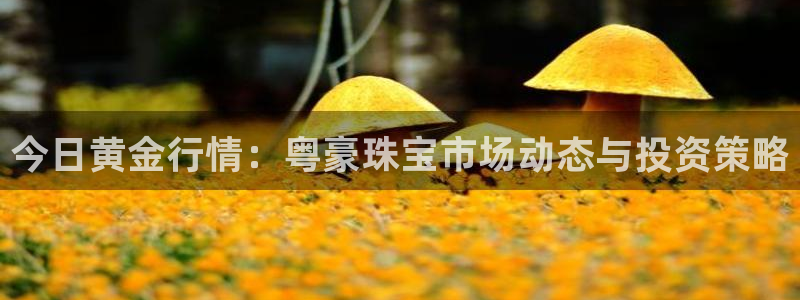 腾耀3娱乐众推8 28