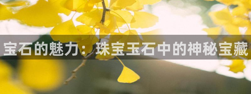 众腾娱乐公司简介