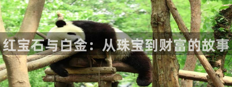 楚雄众腾娱乐在哪里