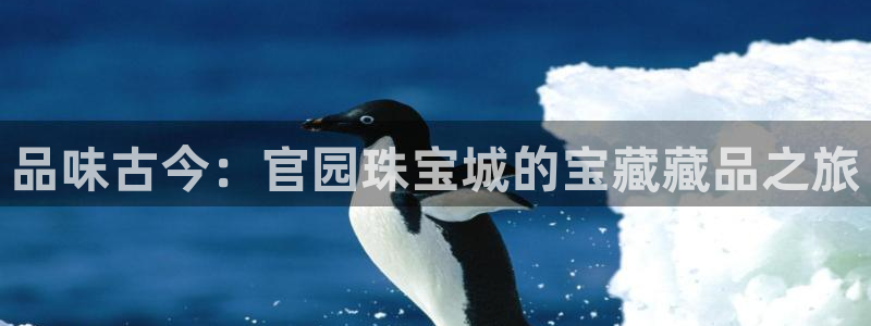 众腾娱乐总代理
