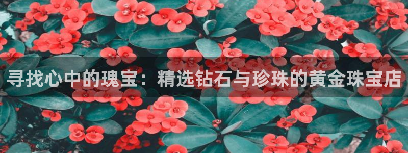 包头众腾娱乐密室逃脱
