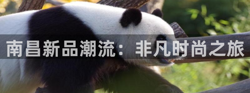 众东腾娱乐客服