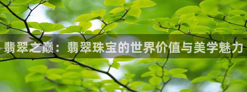 众腾娱乐邵阳