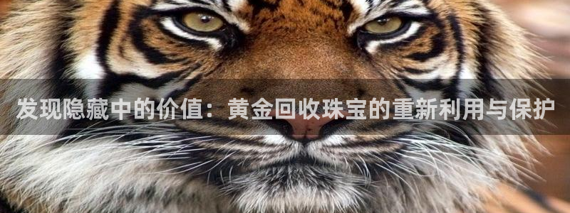 楚雄众腾娱乐在哪里
