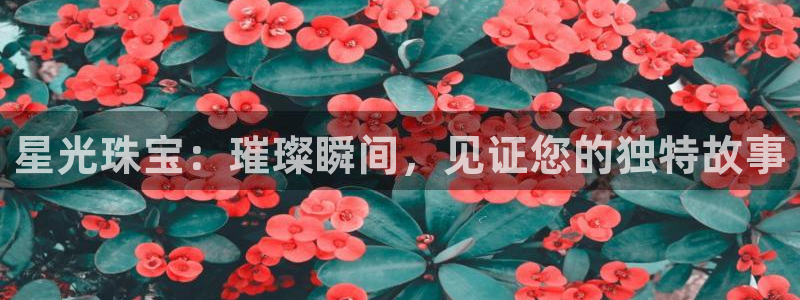楚雄众腾娱乐