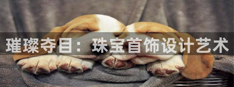 众腾娱乐