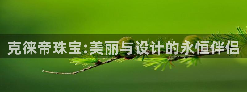彝族自治州众腾娱乐