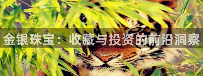腾众娱乐是什么