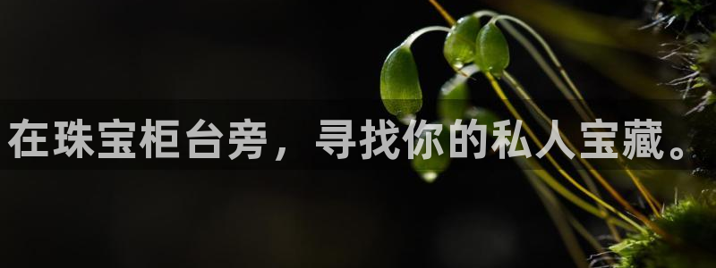 腾耀3娱乐众123：在珠宝柜台旁，寻找你的私人宝藏。