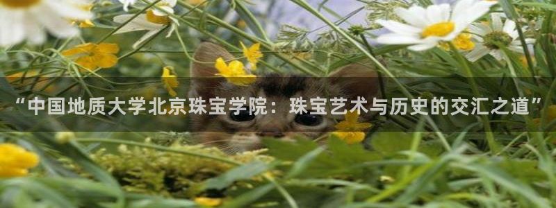 众腾娱乐集团有限公司