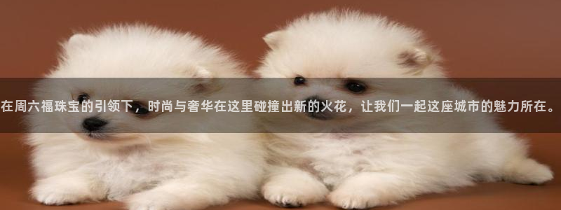 众东腾娱乐客服