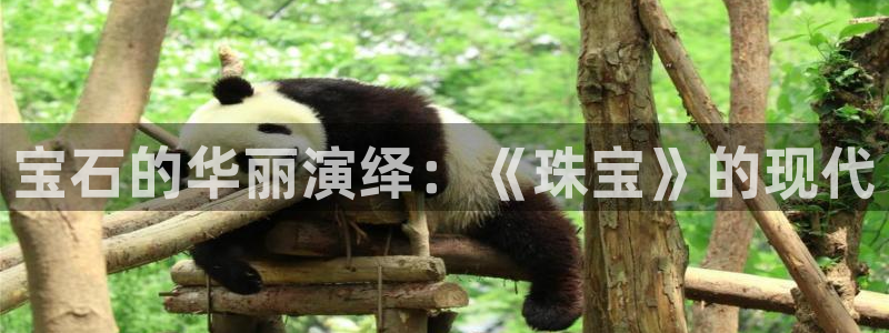 众腾娱乐总代理