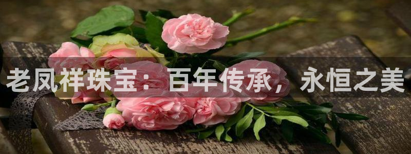 众腾娱乐总代理