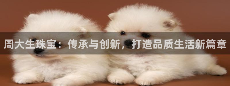 包头众腾娱乐密室逃脱