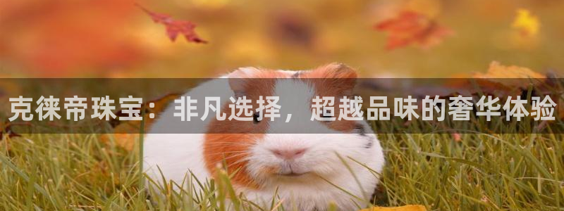 众腾娱乐得7O777