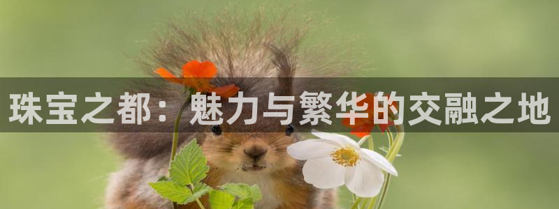 腾众娱乐彩票：珠宝之都：魅力与繁华的交融之地