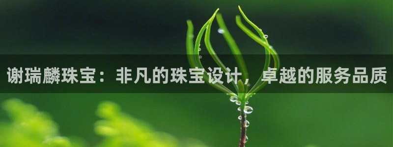 众腾娱乐公司简介