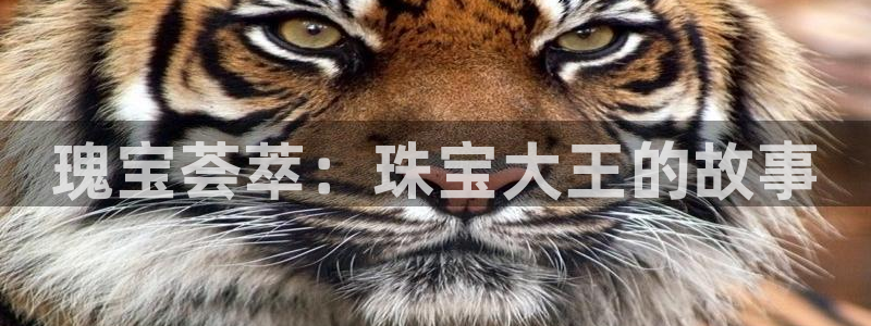 众腾娱乐下7O777