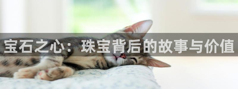 腾众娱乐是个啥