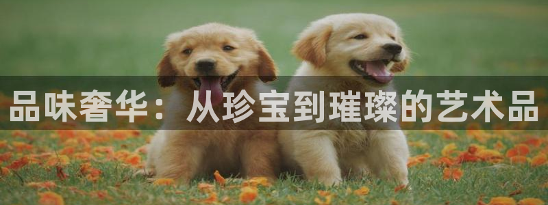 腾众娱乐彩票