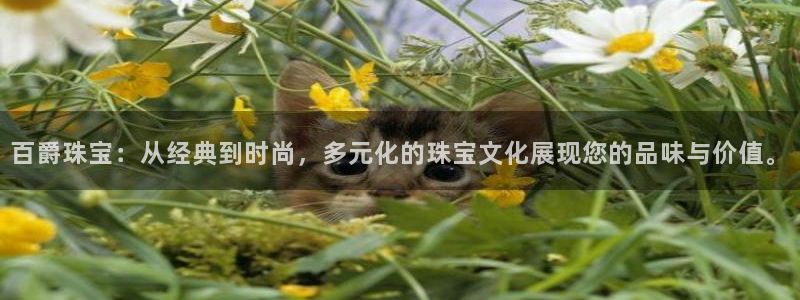 众联别墅g座上腾娱乐有限公司