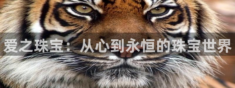 包头众腾娱乐密室逃脱